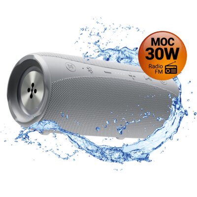 Głośnik mobilny XMUSIC BTS850G  Bluetooth 5.0, 30W, IPX6, Przenośny z TWS, Powerbank & Radio FM , Szary