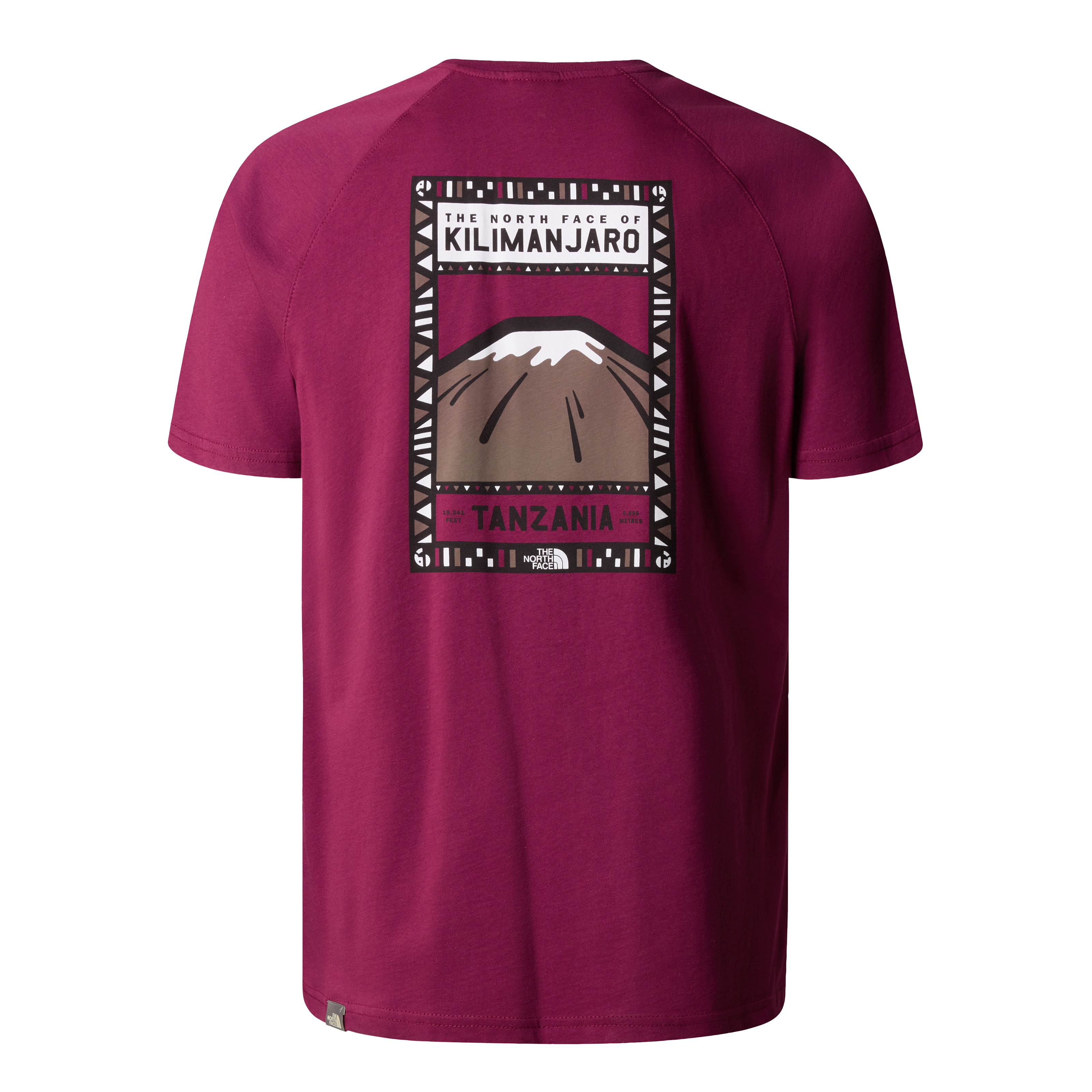 Męska koszulka The North Face North Faces Tee SS boysenberry - L