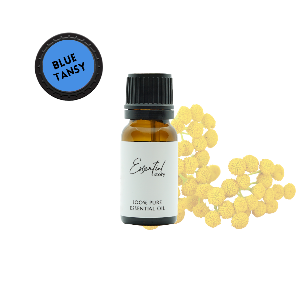Essential Story olejek blue tansy eteryczny wrotycz marokański 100% naturalny, 5 ml