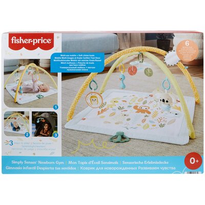 Mata edukacyjna FISHER PRICE HRB15