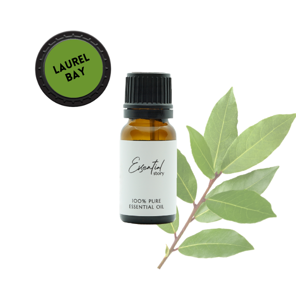 Essential Story bio olejek laurowy eteryczny 100% organiczny, 10 ml