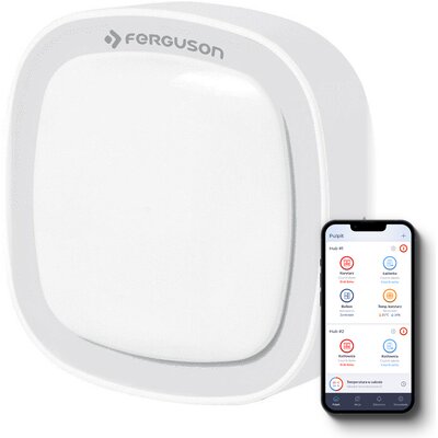 Czujnik ruchu FERGUSON FS1MS ZigBee