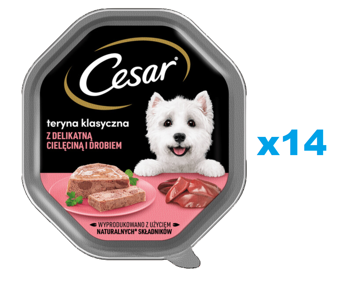 CESAR tacka 14x150 g  mokra karma pełnoporcjowa dla dorosłych psów teryna z delikatną cielęciną i drobiem