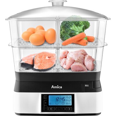 Parowar AMICA PT4011