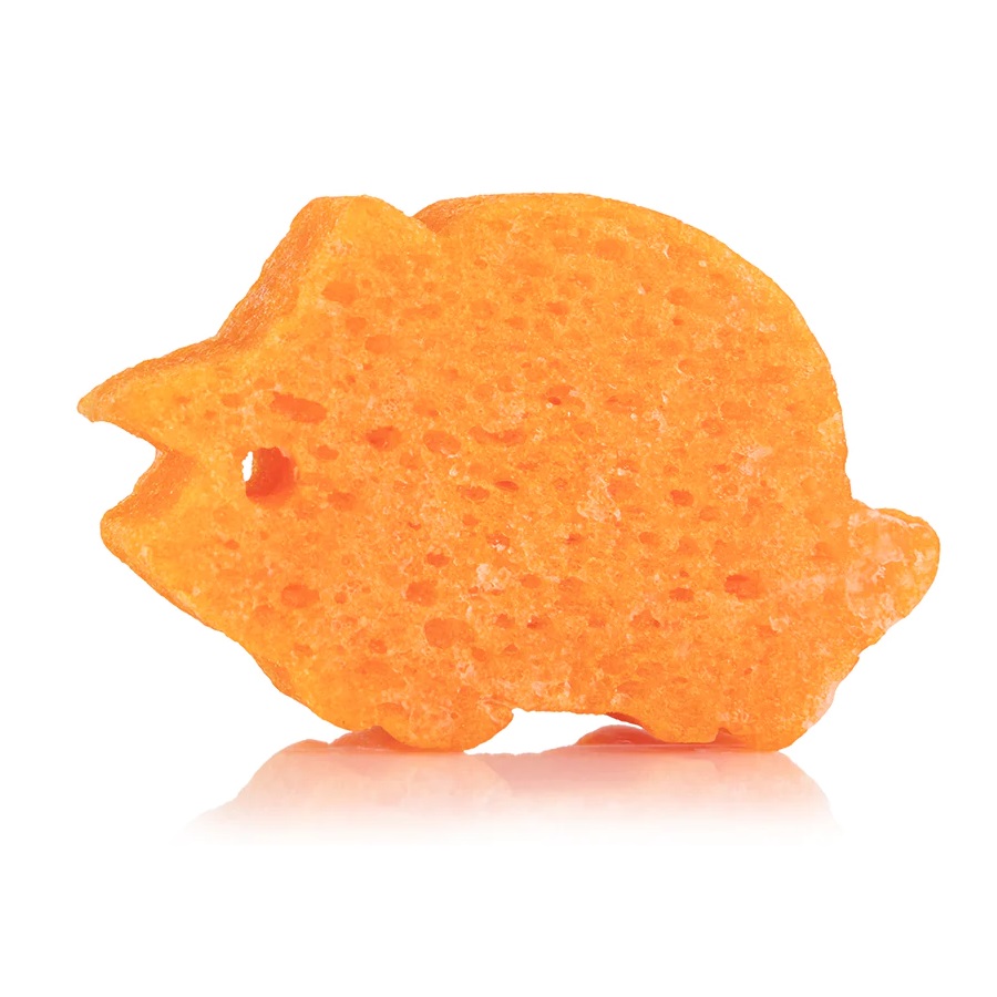 Spongelle Spongesaurus Collection gąbka nasączona mydłem do mycia ciała dla dzieci Triceratops, 1 szt.
