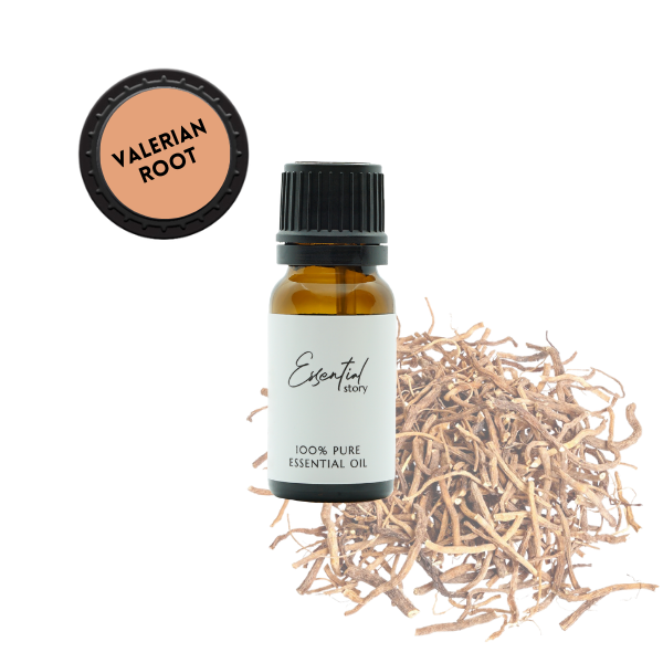 Essential Story olejek waleriana (kozłek lekarski) bio 100% organiczny, 10 ml