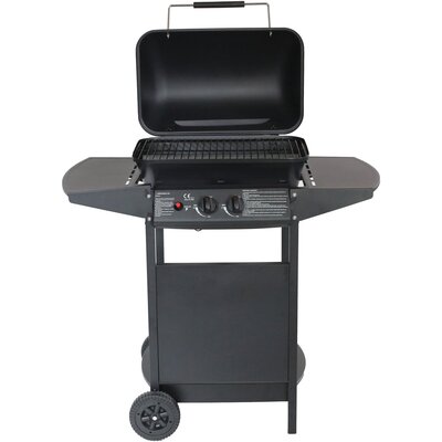 Grill gazowy ACTIVA 11999 5.4 kW 50 x 32 cm