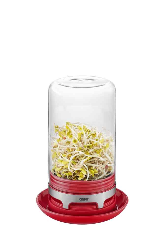 GEFU - Szklarnia do kiełków BIVITA malinowy