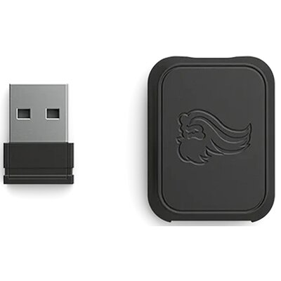 Adapter GLORIOUS PC Wireless Mouse Receiver Kit (V1) Czarny