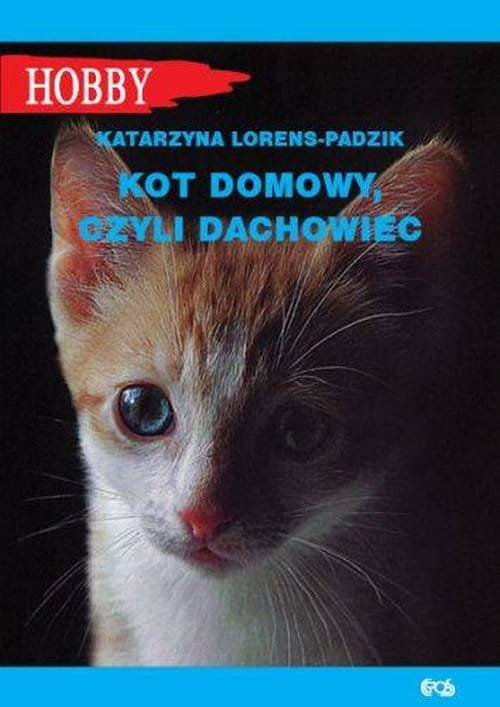 Katarzyna Lorens-Padzik. Kot domowy, czyli dachowiec