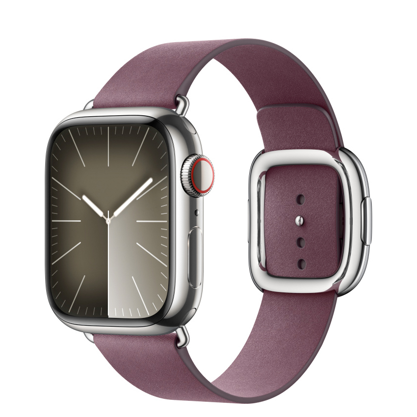 Apple 41mm Mulberry Modern Buckle - Large