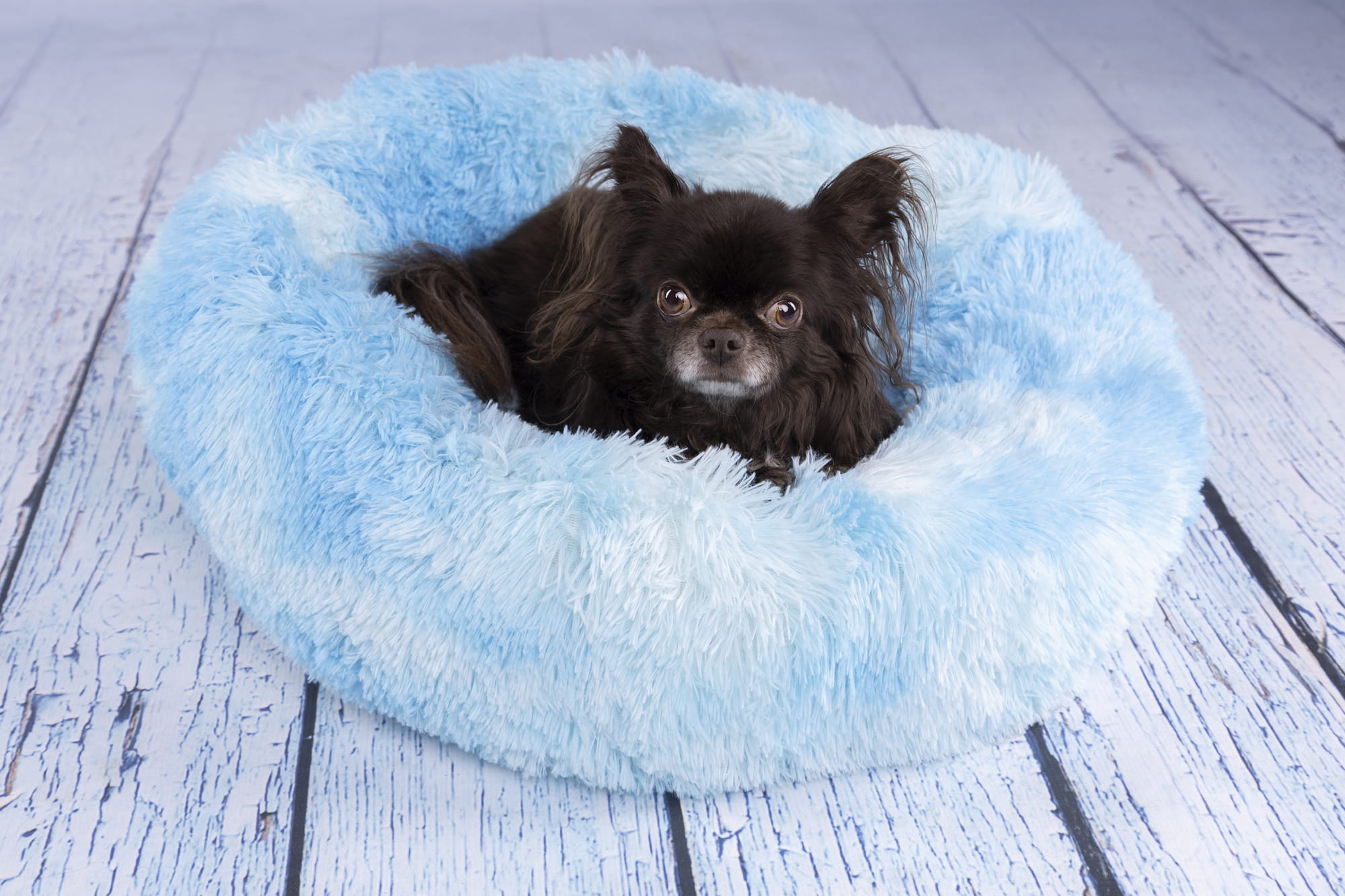 Flamingo Legowisko dla psa i kota Demi błękitne