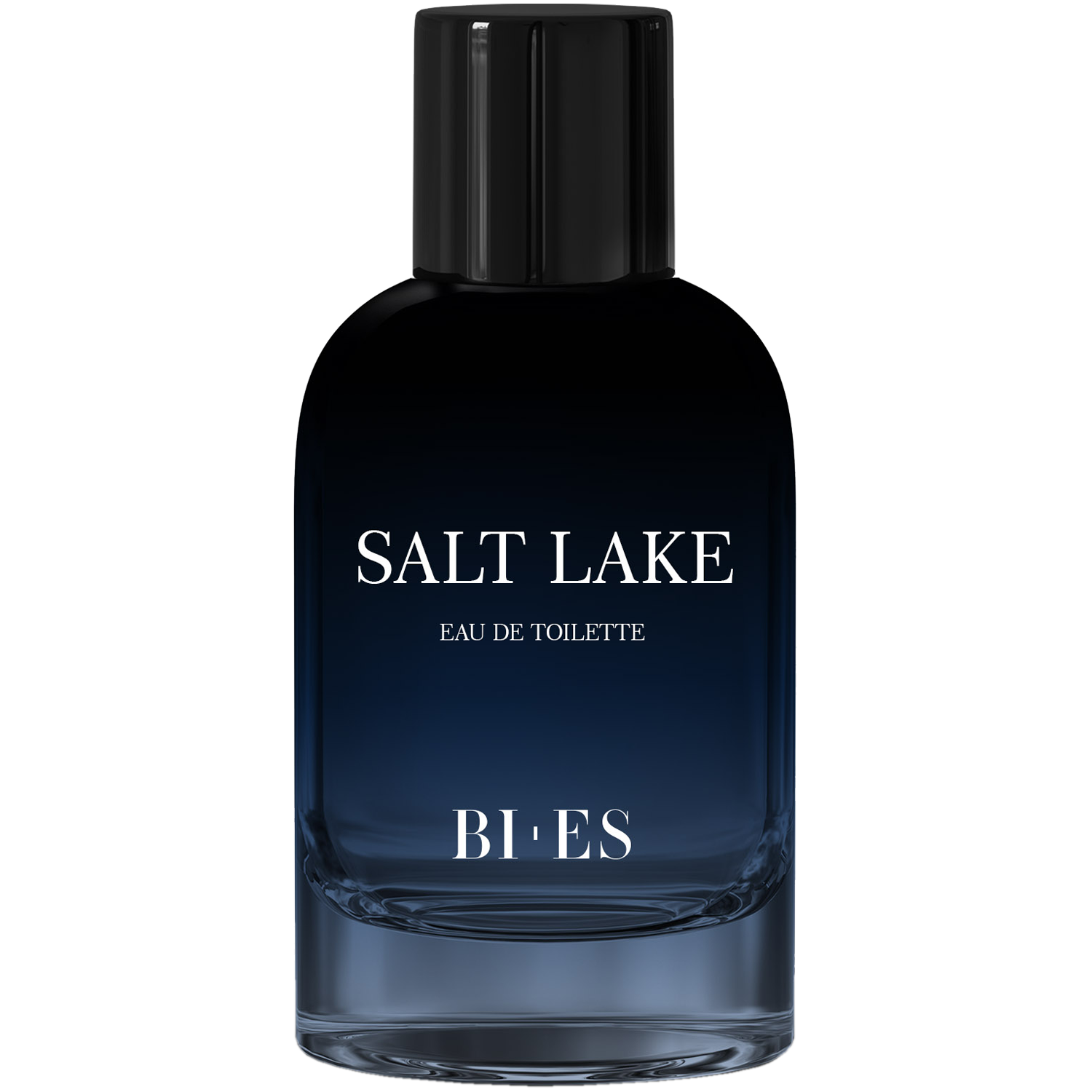 Bi-es Salt Lake Men woda toaletowa męska, 100 ml