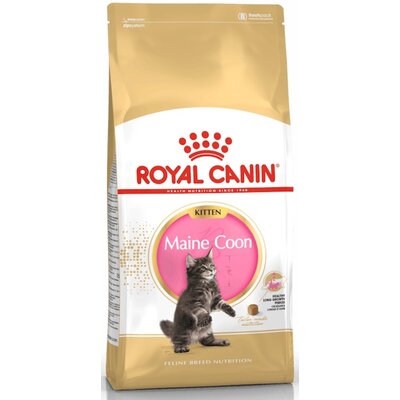 Karma dla kota ROYAL CANIN Kitten Maine Coon 400 g