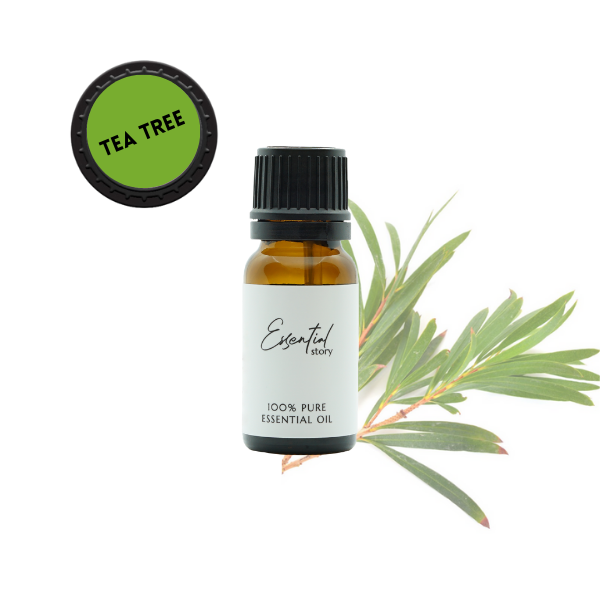 Essential Story bio olejek z drzewa herbacianego eteryczny 100% organiczny, 10 ml