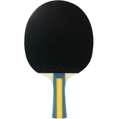 Paletka do ping ponga JOOLA Team Master