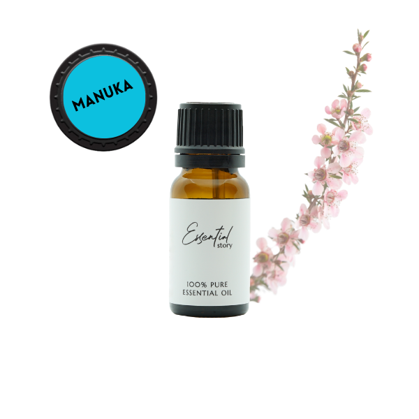 Essential Story olejek manuka eteryczny 100% naturalny, 10 ml