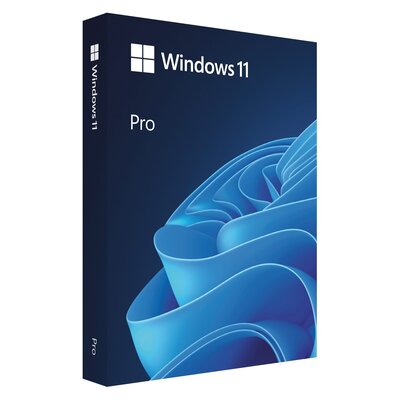 Program MICROSOFT Windows 11 Pro OEM DVD