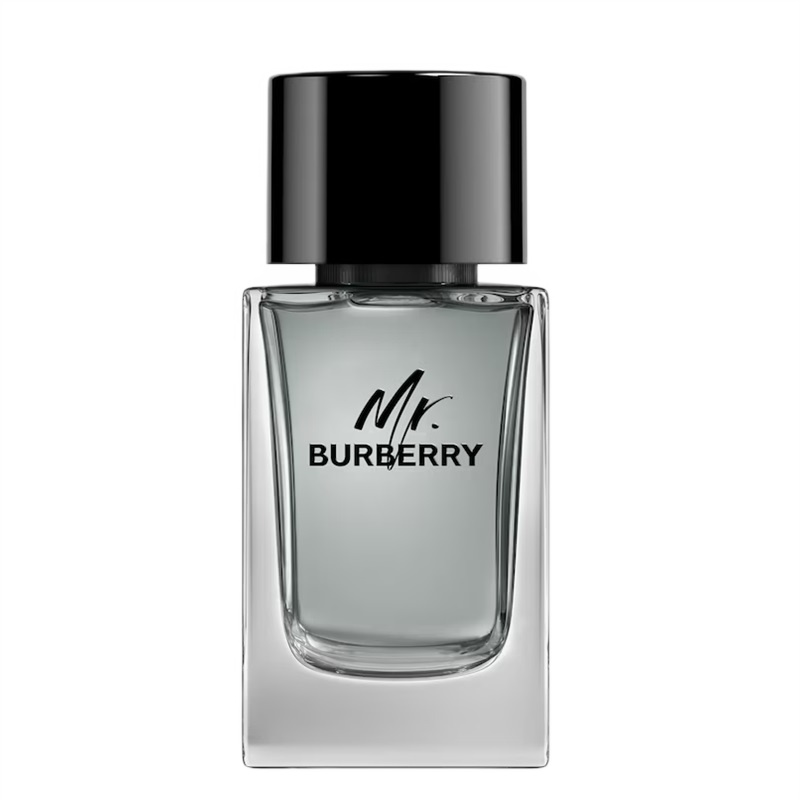 Burberry Mr. Burberry for Men woda toaletowa męska, 100 ml