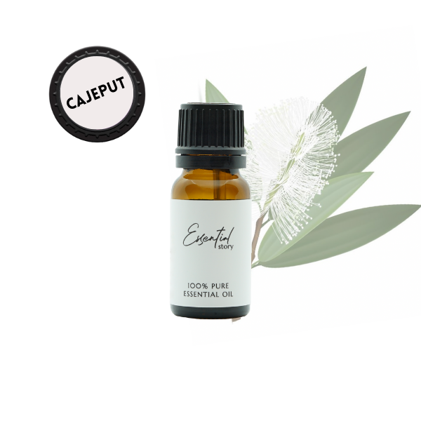 Essential Story olejek kajeputowy eteryczny (australijskie drzewo herbaciane) 100% naturalny, 10 ml
