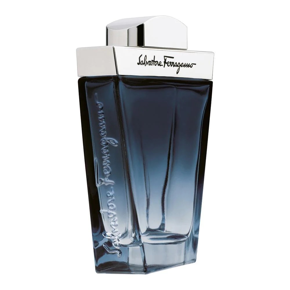 Salvatore Ferragamo Subtil Pour Homme woda toaletowa męska, 100 ml