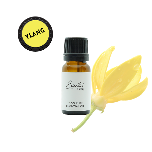 Essential Story bio olejek ylang ylang eteryczny 100% organiczny, 10 ml