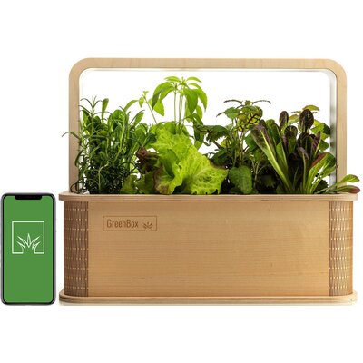 Doniczka BERLINGREEN GreenBox Great Variety Bundle Brązowy