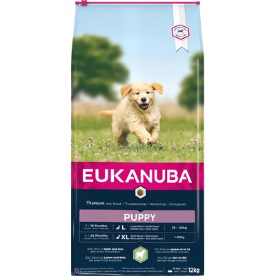 Karma dla psa EUKANUBA Puppy Large Breed Jagnięcina z ryżem 12 kg