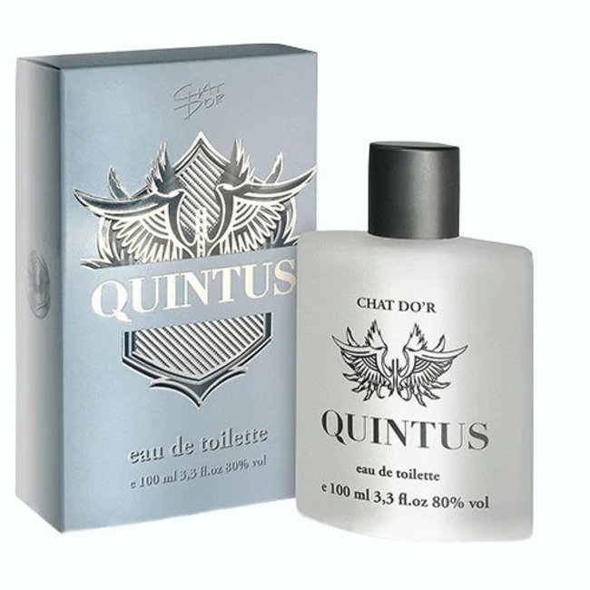 Chat D'or Men Adventure woda toaletowa męska, 100 ml