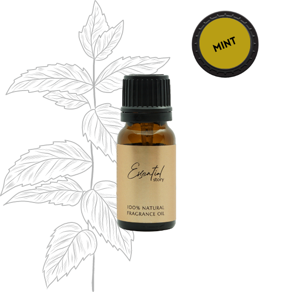 Essential Story olejek miętowy zapachowy 100% naturalny, 10 ml