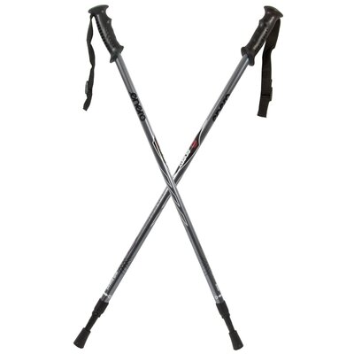 Kijki trekkingowe ENERO Classic (80 - 135 cm) Srebrny