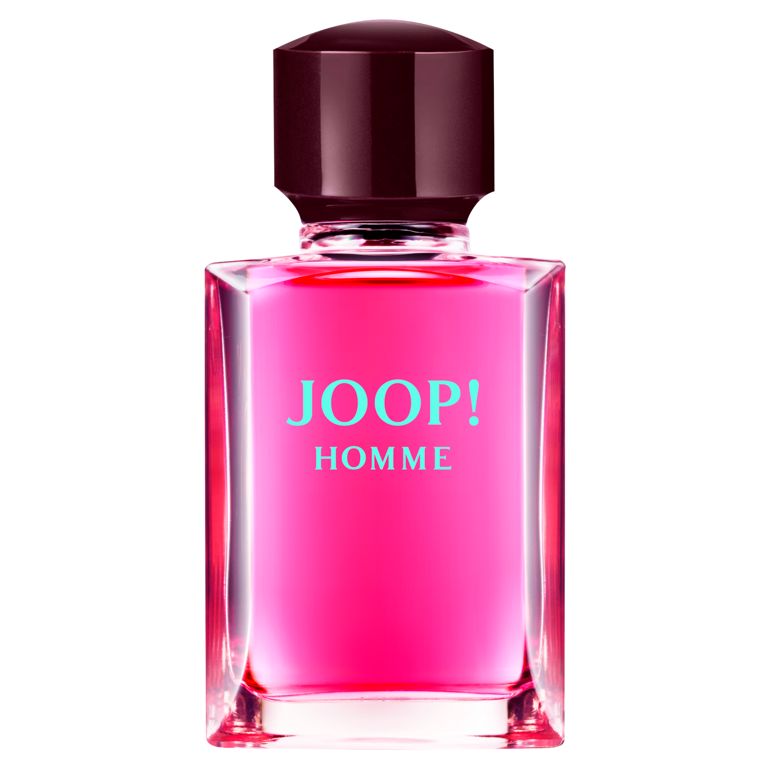 Joop! Homme woda toaletowa męska, 75 ml