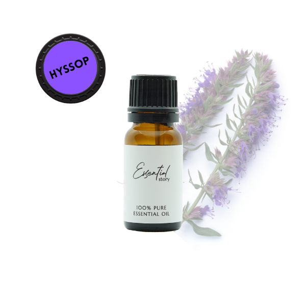 Essential Story olejek hyzopowy eteryczny (hyzop lekarski) 100% naturalny, 10 ml