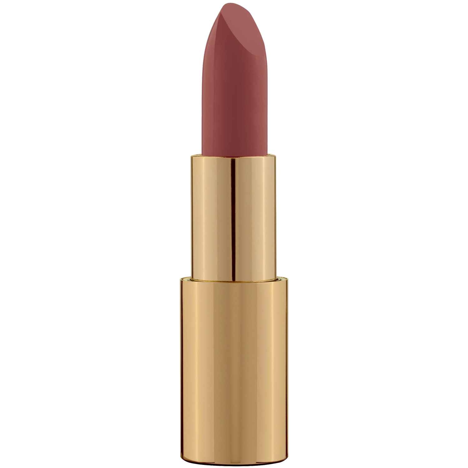 Pierre René Professional Royal Mat Lipstick pomadka do ust 22, 4,8 g