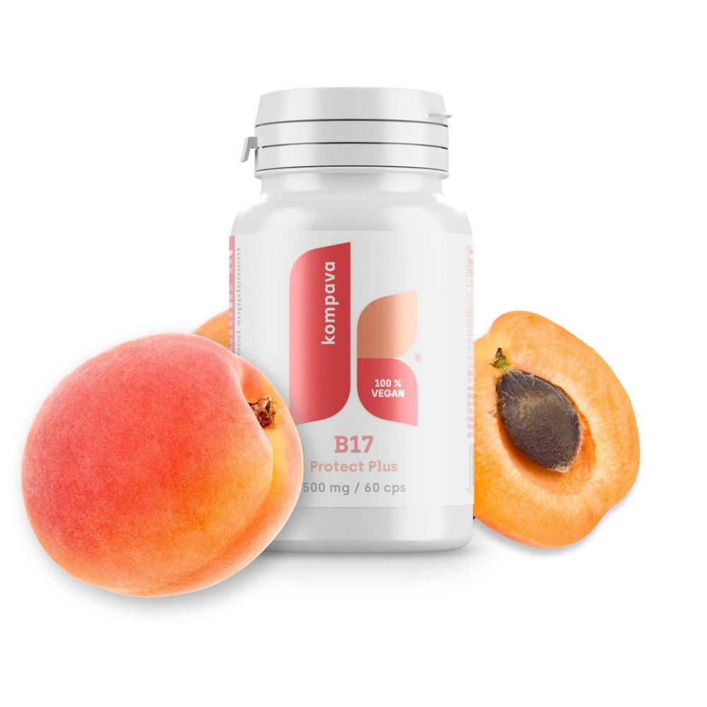 Kompava B17 Protect Plus suplement diety, 60 kaps./1 opak.