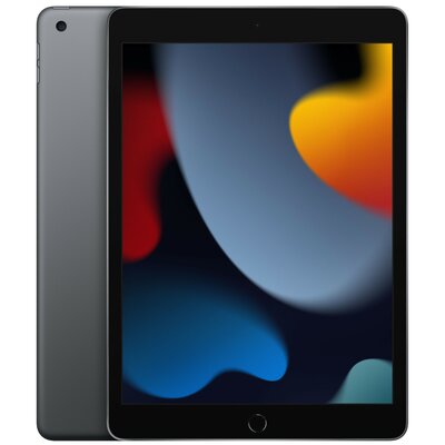 Tablet APPLE iPad 10.2" 9 gen. 64GB Wi-Fi Gwiezdna szarość