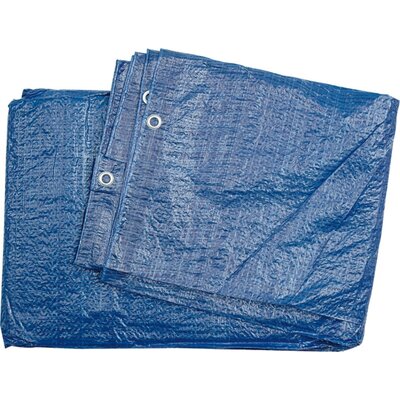 Plandeka VOREL 85125 (4 x 6 m)