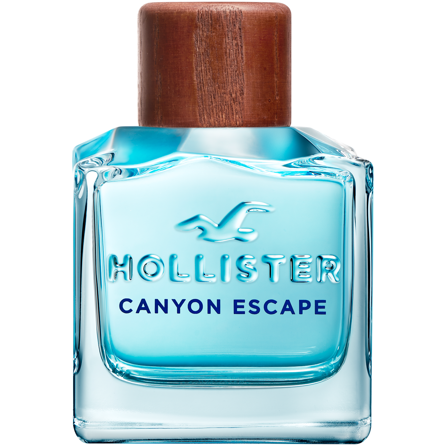 Hollister Canyon Escape woda toaletowa męska, 100 ml