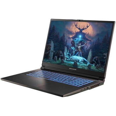Laptop DREAMMACHINES RG4050-17PL30 17.3" 144Hz i7-14700HX 16GB RAM 1TB SSD GeForce RTX4050