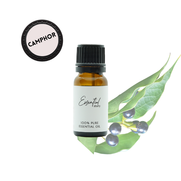 Essential Story bio olejek kamforowy eteryczny 100% organiczny, 10 ml