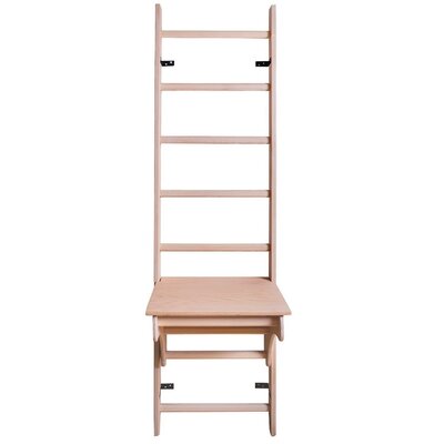 Drabinka gimnastyczna BENCHK 111 + Biurko