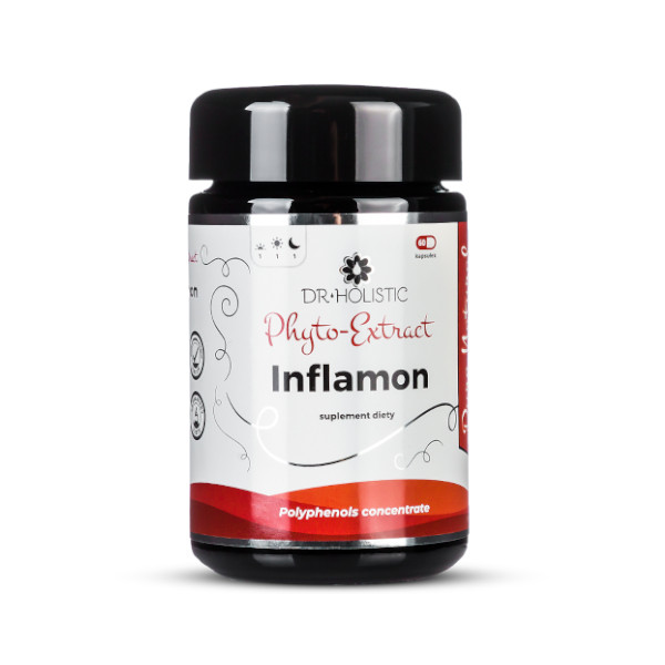 Dr Holistic Inflamon Phyto-Extract suplement diety, naturalna roślinna otoczka kapsułki, 60 kaps./1 opak.