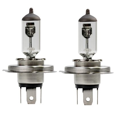 Zestaw żarówek samochodowych AEG WhiteXenonPlus 50% H4 12V / 60/55W (2 szt.)