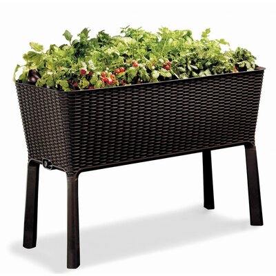 Donica KETER Easy Grow 230298 120 L Antracytowy