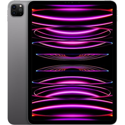 Tablet APPLE iPad Pro 11" 4 gen. 2TB Wi-Fi Gwiezdna szarość