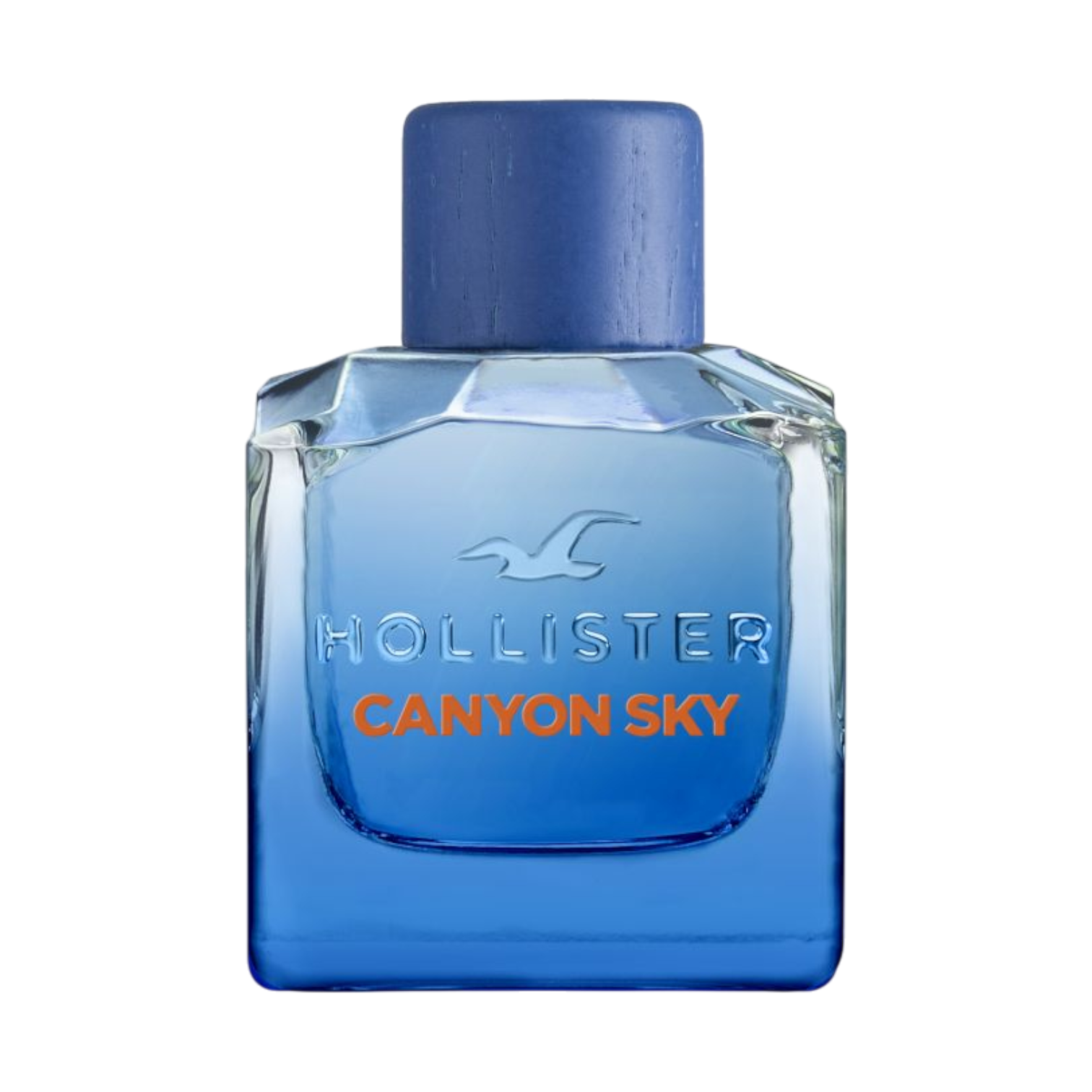 Hollister Canyon Sky woda toaletowa męska, 100 ml