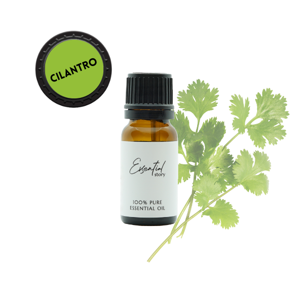 Essential Story bio olejek z kolendry cilantro eteryczny 100% organiczny, 10 ml