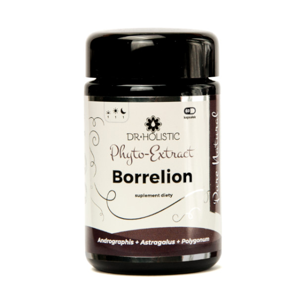 Dr Holistic Borrelion Phyto-Extract suplement diety, naturalna roślinna otoczka kapsułki, 60 kaps./1 opak.