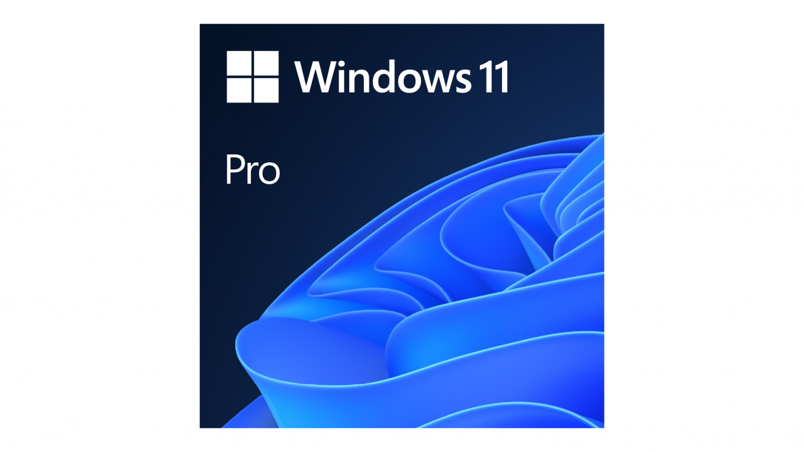 Windows 11 Pro ENG 64bit OEM FQC-10528