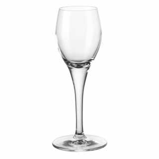 Leonardo Fratelli kieliszek do aperitif 100ml